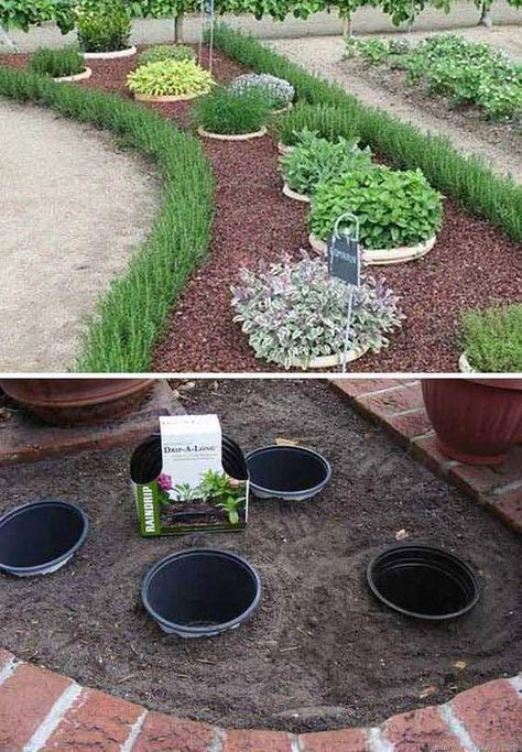 Diy Garden Landscaping, Easy Landscaping, Garden Backyard, Have Inspiration, Front Yard Garden, Garden House, Front Yard Landscaping Design, House Garden, Lawn And Garden