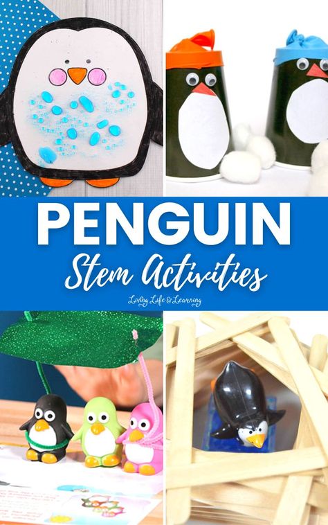 Penguin Stem Activities, Penguin Stem Activities For Kids, Penguin Activities For Kindergarten, Tacky The Penguin Activities, Mr Poppers Penguins Activities, Penguin Science Experiment, Penguins Project, Tacky The Penguin, Penguin Day