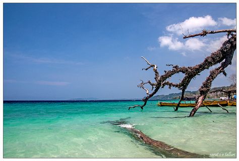 ELEPHANT BEACH [ANDAMAN - HAVELOCK ISLANDS] | Flickr - Photo Sharing! Elephant Beach Andaman, Havelock Island, Andaman Islands, Elephant Rock, Rock Beach, Nikon D90, Vr Lens, Nikon, Photo Sharing