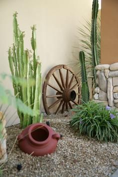 Desert Landscape Front Yard, Desert Backyard, Xeriscape Landscaping, Succulent Landscape Design, Succulent Landscaping, Home Yard, Garden Area, Rock Garden Landscaping, Desert Garden