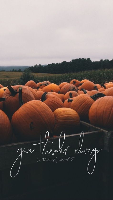 Give thanks always. Pumpkins  1 Thessalonians 5 Autumn Phone Wallpaper, Christian Fall, Thanksgiving Wallpaper, Cute Fall Wallpaper, Autumn Beauty, Fall Pictures, Digital Backdrops, Cute Backgrounds, Fall Wallpaper