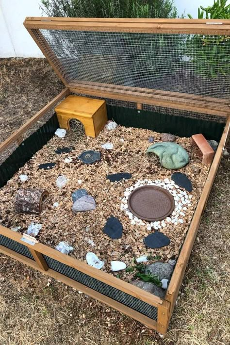 Comment construire un enclos pour ma tortue de terre ? - Guides - PassionTortue.com Tartaruga Habitat, Box Turtle Habitat, Outdoor Tortoise Enclosure, Turtle Enclosure, Turtle Homes, Tortoise House, Tortoise Enclosure, Russian Tortoise, Tortoise Habitat