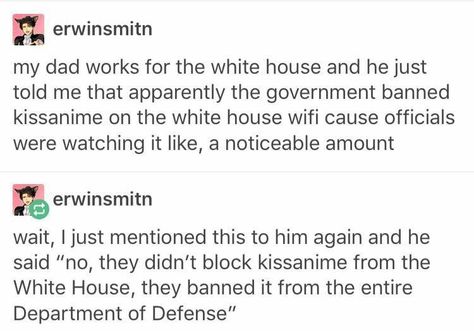 Kiss Anime, Funny Tumblr Posts, Funny Tumblr, It's Funny, Funny Pins, So Funny, Text Posts, Tumblr Funny, Tumblr Posts