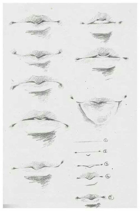 Lips Sketch, Drawing Girls, Couple Drawing, Mouth Drawing, Drawing Eyes, Nose Drawing, Drawing Faces, Lips Drawing, Anatomy Drawing