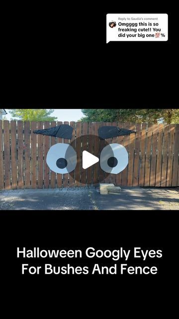 Kids On Kerth Road | I made eyes and brows to your gate too😂 Halloween Googly Eyes For Bushes And Fence #kidsonkerth #skeletonsonkerthroad #halloween... | Instagram Somebody's Watching Me, Halloween Instagram, Googley Eyes, Halloween Trends, Halloween Eyes, Halloween Decorating, Googly Eyes, First Halloween, Halloween Looks