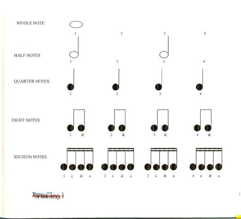 Teaching Children Note Values in a Fun Way - WeHaveKids - Family Teaching Music Notes, Music Anchor Charts, Value Worksheet, Teaching Orchestra, Organize Notes, Note Values, Beginner Piano Music, Reading Sheet Music, Music Theory Worksheets