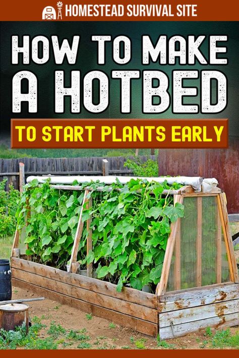 Diy Hot Bed Garden, How To Layer Soil In Raised Garden Bed, Raised Bed Soil Layers, How To Prepare A Garden Bed, Allotment Bed Ideas, Raised Garden Beds Diy Vegetables, Sacred Garden, Small Vegetable Gardens, Plant Diseases