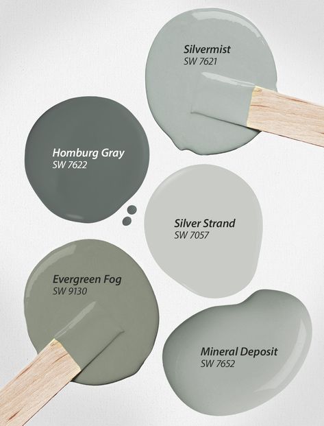 How To Start Painting, Green Grey Paint, Greige Paint, Painting Walls, Farmhouse Paint Colors, House Color Palettes, Start Painting, Green Paint Colors, Sherwin Williams Paint Colors