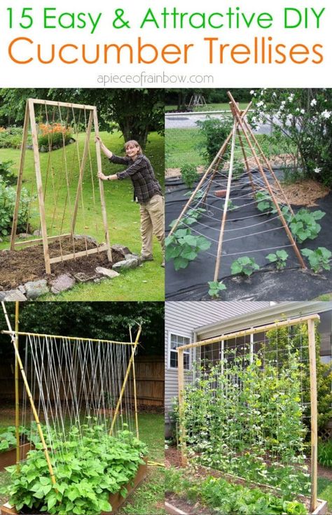 15 easy & attractive DIY cucumber trellis ideas on how to build vertical garden growing structures with simple materials for productive vegetable gardening! - A Piece of Rainbow  #spring #summer #trellis #verticalgarden #ediblegarden #vegetablegardening #backyard #gardens #gardening backyard, landscaping, gardening tips, #urbangardening #gardendesign #gardenideas #containergardening #DIY #homestead homesteading #gardeningtips #woodworkingprojects #woodworkingplans #growfood grow your own food Zucchini Trellis, Cucumber Trellis Ideas, Blackberry Trellis, Squash Trellis, Cucumber Trellis Diy, Vegetable Trellis, Gardening Backyard, Cucumber Trellis, Backyard Gardens