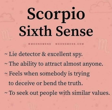 Zodiac Mind Scorpio, Zodiac Quotes Scorpio, Scorpio Art, Astrology Scorpio, Horoscope Memes, Scorpio Traits, Zodiac Signs Chart, Scorpio Love, Scorpio Zodiac Facts