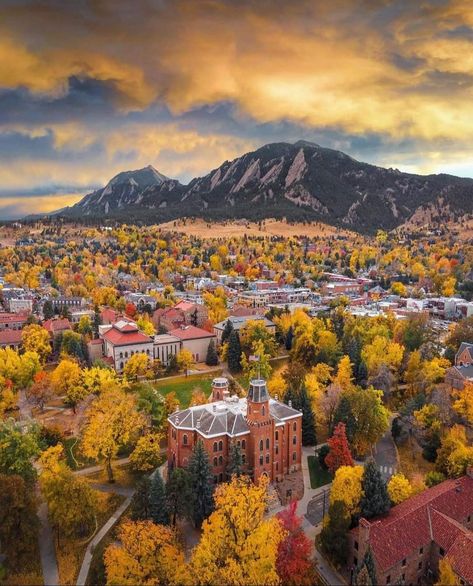 Sko Buffs, Boulder University, Colorado Aesthetic, Large Rock Landscaping, Cape Cod Photography, Cu Boulder, Colorado College, College Vision Board, Landscaping With Large Rocks Front Yard