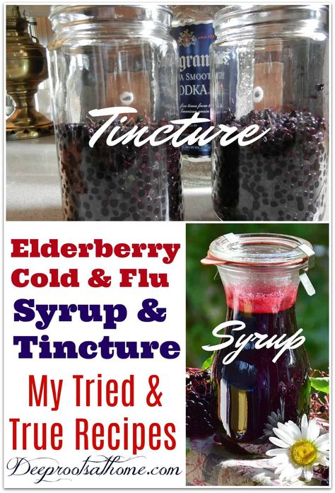 Elderberry Tincture, Improve Vision, Elderberry Recipes, To Lower Cholesterol, Medicine Chest, Coconut Health Benefits, Elderberry Syrup, Improve Heart Health, Benefits Of Coconut Oil