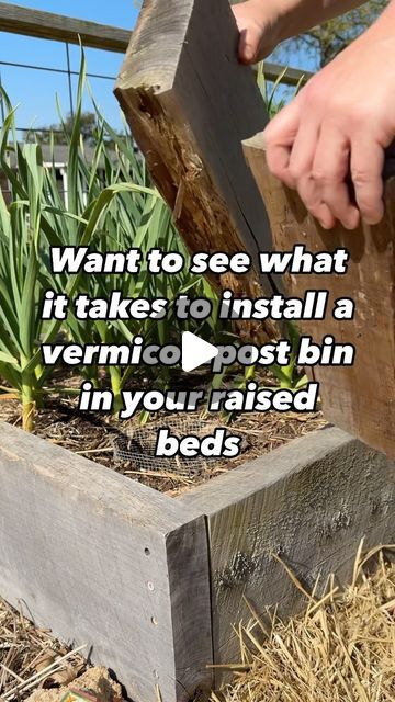 Worm Beds, Bed Construction, Bed Setup, Garden Mesh, Worm Bin, Metal Raised Garden Beds, Cedar Boards, Hardware Cloth, Yard Waste