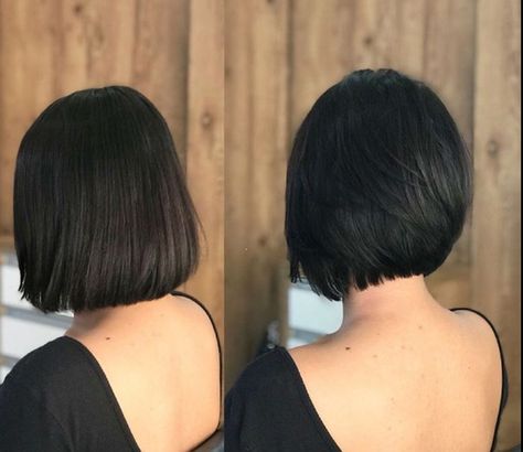 Polished Bob Haircut, Slight Inverted Bob, Stacked Chin Length Bob Haircut, Tapered Bob Haircut, Round Bob, Rounded Bob, Short Layered Bob Haircuts, Short Black Hair, Short Blonde Haircuts