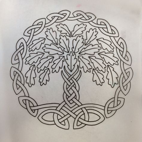 stencil of my new celtic Oak tree tattoo by Ben Harper @ The Golden Rose in San Francisco Celtic Oak Tree, Pinecone Tattoo, Oak Leaf Tattoos, Acorn Drawing, Celtic Tree Tattoos, Acorn Tattoo, Poppy Flower Tattoo, Oak Tree Tattoo, Celtic Knot Tattoo