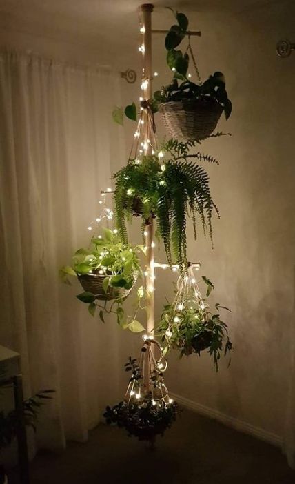 Plants With Fairy Lights, Atrium Sunroom, Fairy Lights And Plants, Plant Sunroom, Cozy Small Bedroom Decor, Light Decor Ideas, Indoor Fairy Lights, String Lights Inside, Conservatory Decor