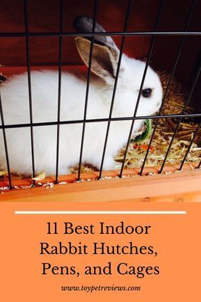 Though there are many hutch manufacturers on the market, most indoor hutches feature a uniform design: a plastic bottom, curved sides to keep urine in, and a wired top. This article looks at the best indoor rabbit hutches, playpens, and cages available on the market today. rabbit pets rabbit habitat rabbit rabbit the rabbit rabbit bunny rabbit bonding rabbit tips rabbit caged rabbit craft rabbit home rabbit activities Bonding Rabbits, Rabbit Activities, Rabbit Tips, Diy Rabbit Cage, Rabbit Craft, Rabbit Hutch Indoor, Indoor Rabbit Cage, Rabbit Pen, Rabbit Home