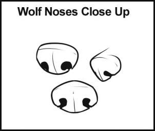 How to draw wolves. STEP 4 Here are some different types of noses that you may want to choose for your wolf drawing. There is front view, 3/4 view, and side view. Wolf Nose, Types Of Noses, Drawing Wolves, Nose Drawing, Drawing Animals, Wolf Drawing, Drawing Cartoon, Wolf Art, Drawing Skills