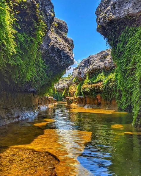 Instagram Texas on Instagram: “Check out this amazing capture by @adventureswithbg of the Narrows, a beautiful section of the Blanco River between Blanco and Wimberley.…” The Narrows, Austin, Texas, Hiking, Water, Travel, On Instagram, Instagram