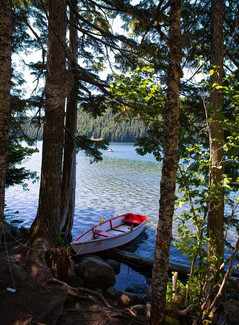 9 First Come, First Served Camping Spots for the Last-Minute Oregon Adventurer Oyster Bed, Oregon Camping, Company Town, Olympic National Forest, Oregon State Parks, Hood Canal, Fall Creek, Camping Spots, Picnic Area