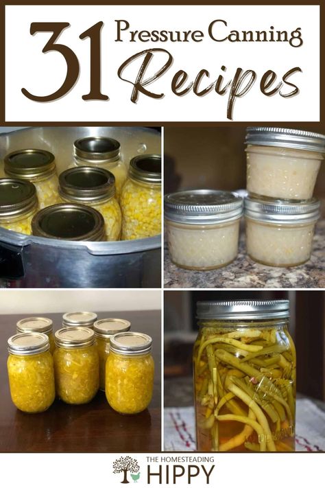 Vegetarian Pressure Canning Recipes, Pressure Canning Recipes For Beginners, Pressure Canning For Beginners, Canning Pulled Pork, Amish Canning Recipes, Best Canning Recipes, Canning Recipes For Beginners, Pressure Canner Recipes, Water Canning