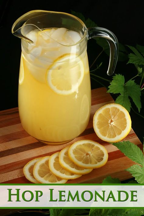 A pitcher of hop lemonade rests on a wooden board, with slices lemons and a hop bine next to it. Hop Water Recipe, Hops Recipes, Hop Water, Growing Hops, Hops Vine, Flavored Beer, Vegetable Skewers, Nutrition Drinks & Shakes, Cocktail Drinks Alcoholic