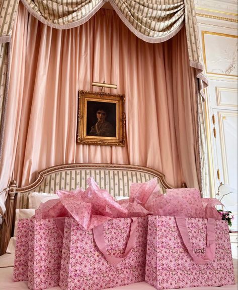 Plaza Princess Aesthetic, Spoiled Daughter Aesthetic, Plaza Princess, Spoiled Daughter, Eloise At The Plaza, Pink Bags, Elegant Bedroom, Princess Aesthetic, Pink Room