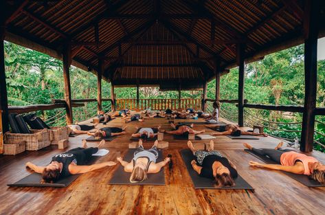 Yoga Platform, Bali Retreat, Yoga Shala, Kundalini Meditation, Bali Yoga, Yoga Studio Design, High Vibrations, Meditation Rooms, Yoga Space