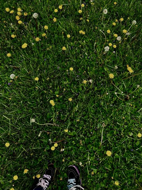 Aesthetic Green Flowers, Grass Aesthetic, Mint Green Wallpaper, Fresh Cut Grass, Grass Stains, Aesthetic Green, Fresh Cut, Green Wallpaper, Green Flowers