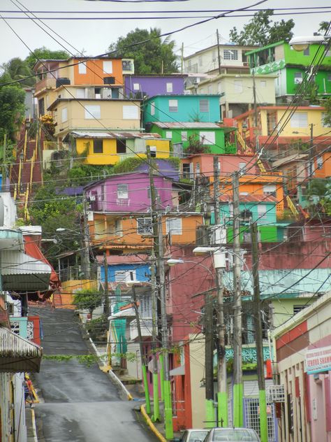 Gurabo, PR States Of America, United States Of America, Puerto Rico, Times Square, United States, Travel