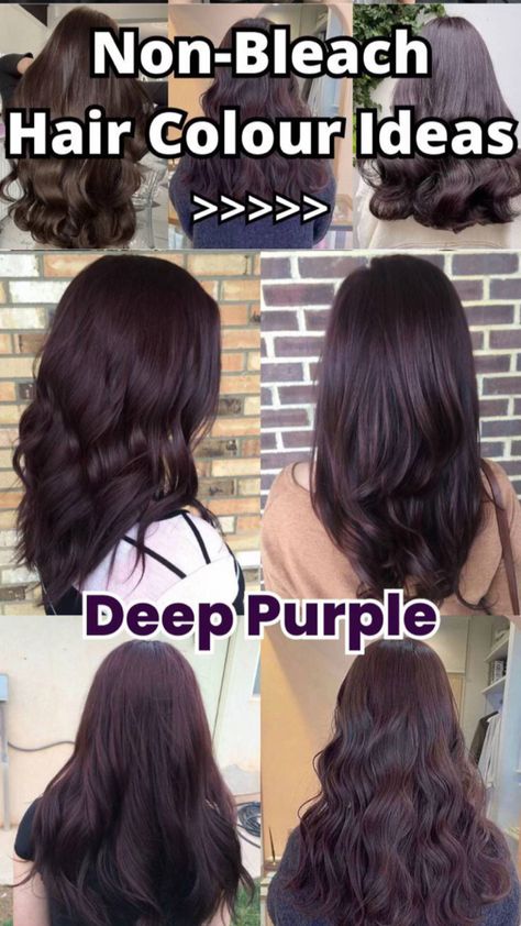 Deep purple Non Bleach Hair Color, Deep Purple Hair, Bleach Hair Color, Bleach Hair, Bleached Hair, Hair Color Ideas, Purple Hair, Hair Highlights, Deep Purple