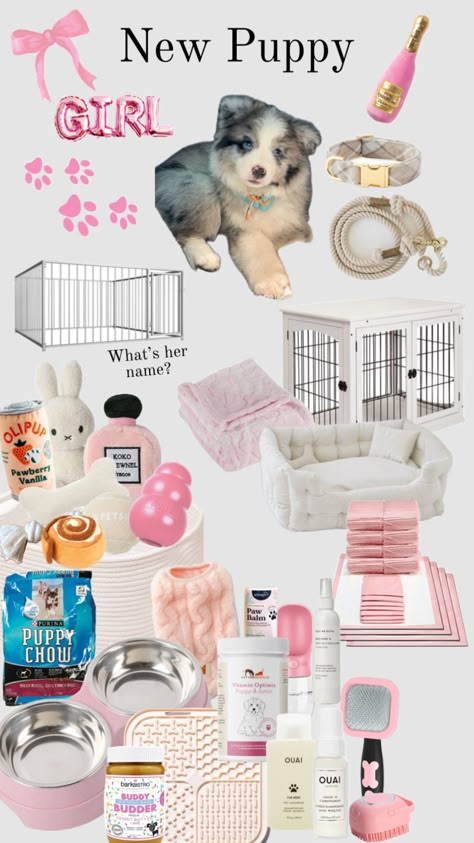 Puppy Must Haves, Dog Room Design, Puppy Essentials, Dog Supplies List, Puppy Items, Puppy Girl, New Puppy Checklist, Puppy Checklist, Puppy Room