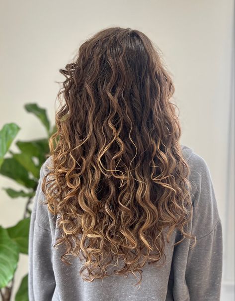 Highlights On Light Brown Hair Curly, 2c Hair With Highlights, Brunette Balayage Hair Natural Curls, 2b Hair Highlights, 2c Curly Hair Balayage, Wavy Hair Highlights Caramel, Natural Balayage Curly Hair, Wavy Hair Balayage Brunettes, Blonde Balayage On Brown Hair Curly