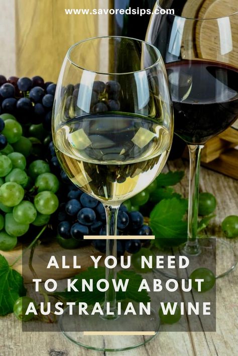 Everything you need to know about Australian wine Zinfandel Wine Pairing, Wine Cheat Sheet, Wine Tasting South Africa, Wine Differences Types Of, Wine Pairing Party, South Africa Wine, Sweet Red Wines, Australian Wine, Wine Knowledge