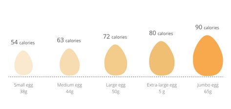 How Many Calories Are in an Egg? Chia Seed Nutrition, Lentils Nutrition, Wine Calories, Atkins Diet Plan, Egg Calories, Food Calorie Chart, Calorie Chart, Donut Calories, Egg Nutrition