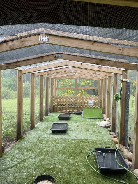 Farm Animal Enclosures, Pheasant Enclosures, Coldframe Greenhouse, Duck Enclosure Ideas, Quack Shack, Duck Things, Duck Enclosure, Quack Pack, Duck Ideas