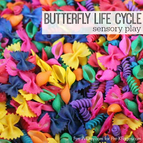 Life Cycle Sensory Bin, Spring Theme Preschool, Sensory Play Ideas, Spring Lessons, Butterflies Activities, Bugs Preschool, Sensory Bags, Insects Theme, Sensory Boxes