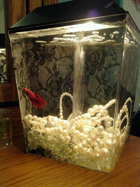 Decorate a fishtank! Modge podge lace onto the back, add old pearl necklaces instead of rocks. Diy Aquarium Ideas, Fish Tank Themes, Fish Tank Terrarium, Cool Fish Tanks, Diy Aquarium, Fish Tank Ideas, Nature Aquarium, Betta Fish Tank, Aquarium Terrarium