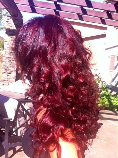 ❤️ love my herrrrrr Bright Red Hair Curly, Red Hair Curly, Cherry Red Hair, Red Curly Hair, Dyed Curly Hair, Cherry Hair, Red Hair Inspo, Burgundy Hair, Hairdos For Curly Hair