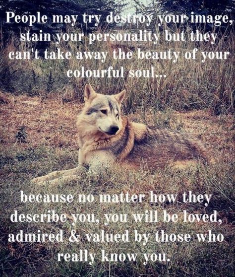 Spiritual Eyes, Wolf Quotes, Proverbs Quotes, Sheep Skin, Knowledge And Wisdom, A Wolf, Poor People, Spiritual Wisdom, Lesson Quotes