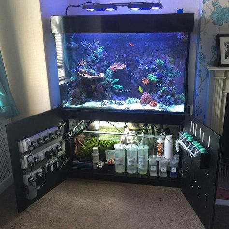 Marine Fish Tanks, Saltwater Aquarium Fish, Fish Tank Stand, Amazing Aquariums, Saltwater Fish Tanks, Marine Tank, Fish Varieties, Aquarium Terrarium, Aquarium Stand