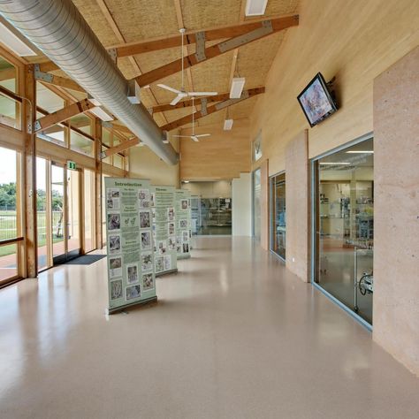 Rammed earth walls, Australia Zoo Wildlife Hospital, Sunshine Coast, Queensland Rammed Earth Wall, Rammed Earth, Hospital Design, Veterinary Clinic, Sunshine Coast, Sustainable Design, My Dream Home, Queensland, Beach House