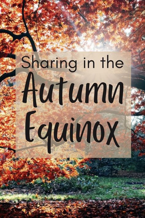 Learning about the autumn equinox with associations (colors, crystals, herbs, flowers, animals), recipes and food, rituals, deities, tarot spread, and the history of Mabon and other autumn equinox celebrations from around the world. Vernal Equinox Day, Earth Cycles, Autumnal Equinox, Tarot Spread, Pagan Altar, Autumn Actvities, Pagan Witchcraft, Autumn Quotes, Tarot Spreads