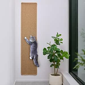 Cat Wall Scratcher, Apartment Finds, Cat Climbing Wall, Scratcher Cat, Cat Scratch, Baby Words, Climbing Wall, Cat Climbing, Pet Care Tips