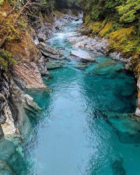 Blue river, New Zealand     _princessella Thermal Pool, Lake Wanaka, Blue Pool, Instagrammable Places, New Zealand Travel, South Island, Road Trip Itinerary, Outdoor Life, Wallpaper Aesthetic