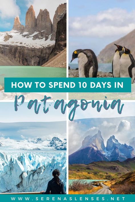 Pinterest Pin: how to spend 10 days in PAtagonia with photos of Mirador Los Torres hike, king penguins, Perito Moreno Glacier and view of Torres del Paine Patagonia Travel Itinerary, Patagonia Trip, Patagonia Itinerary, Patagonia South America, Hiking Patagonia, Patagonia Travel, Travel Argentina, Patagonia Hiking, Travel Peru