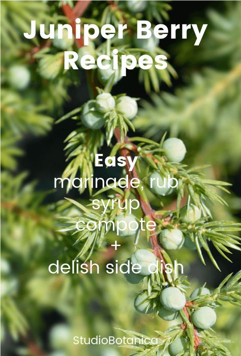 Juniper Berries Recipes, Juniper Recipes, Juniper Berry Recipes, Garden Berries, Red Cedar Tree, Herbs In The Kitchen, Herb Tinctures, Flowers Recipes, Edible Flowers Recipes