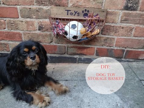 DIY Dog Toy Basket for the Garden - Kezzabeth | DIY & Renovation Blog Outdoor Dog Toys, Dog Toy Basket, Diy Dog Toys, Dog Toy Storage, Garden Balls, Toy Basket, Dogs Love, Diy Renovation, Dogs And Kids