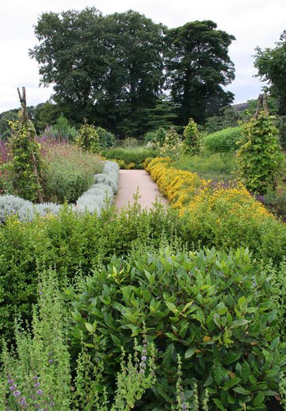 Planning Your First Herb Garden Kitchen Courtyard, Hardwick Hall, Allotment Gardening, Edible Gardens, Types Of Herbs, Propagating Succulents, Garden Herbs, Herb Gardens, Herb Gardening