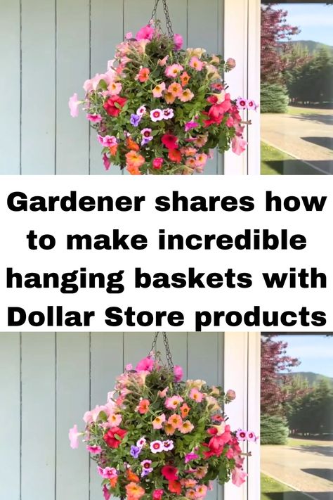 Gardener shares how to make incredible hanging baskets with Dollar Store products Make Hanging Baskets, Aerial Plants, Hanging Planters Outdoor, Hanging Baskets Diy, Hanging Flower Arrangements, Dollar Tree Flowers, Artificial Hanging Baskets, Hanging Plants Outdoor, Fake Hanging Plants